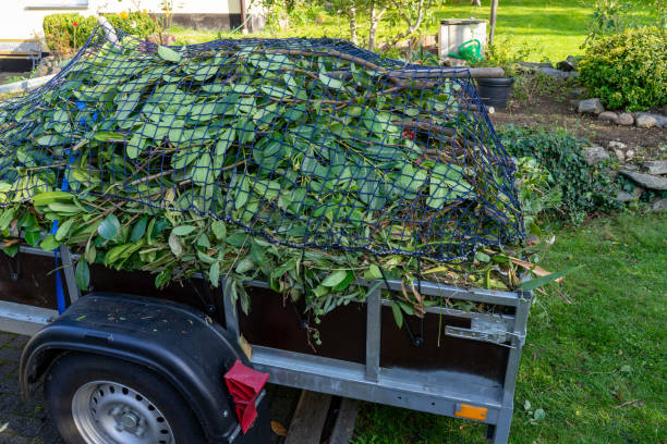 Best Scrap Metal Removal  in North Lauderdale, FL